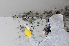 Why You Should Choose Our Mold Remediation Services in Hometown, PA